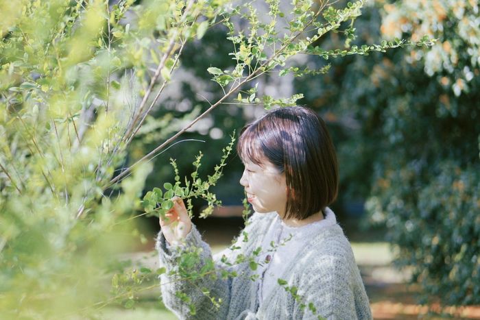 茉衣